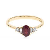 AAA-Mosambik-Rubin-Goldring (CIRARI)