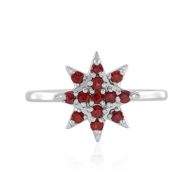 Tansania-Rubin-Silberring (Adela Silber)
