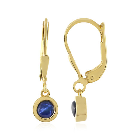 Blauer Stern-Saphir-Silberohrringe