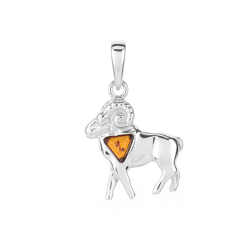 Zilveren hanger met een Baltische barnsteen (dagen)