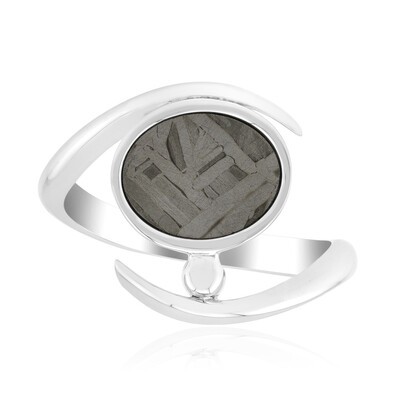 Anillo en plata con Meteorito Aletai