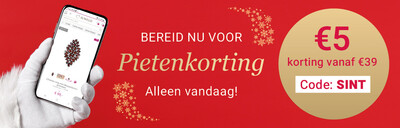 2025-11-sinterklaas