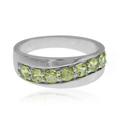 Mali Garnet Silver Ring