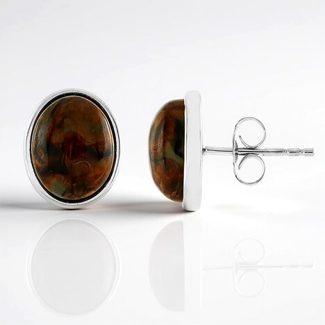 Orecchini in argento con Pietersite Dorata