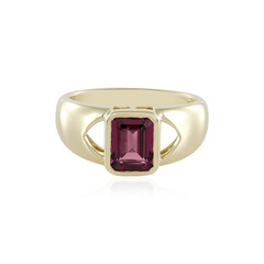 Gouden ring met een rhodliet (de Melo)