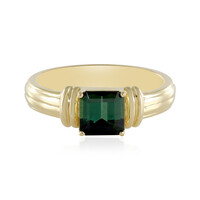 Benedito Green Tourmaline Silver Ring (Adela Silber)