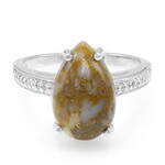 Zilveren ring met een dinosaurus kwarts