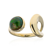 Mezezo-Opal-Goldring (de Melo Gold)
