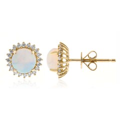 AAA-Welo-Opal-Goldohrringe