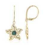 Pendientes en plata con Concha de Abalone