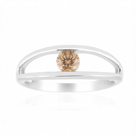 VS1 Argyle-Rose de France-Brillant-Goldring (Annette)