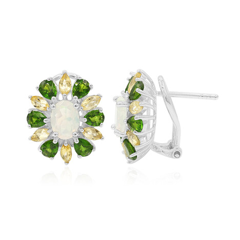 Zilveren oorbellen met Welo-opalen