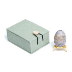 Sammelei Versteinerte Koralle