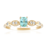 Brasilianischer Paraiba-Turmalin-Goldring (AMAYANI)