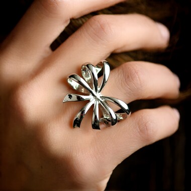 Silberring