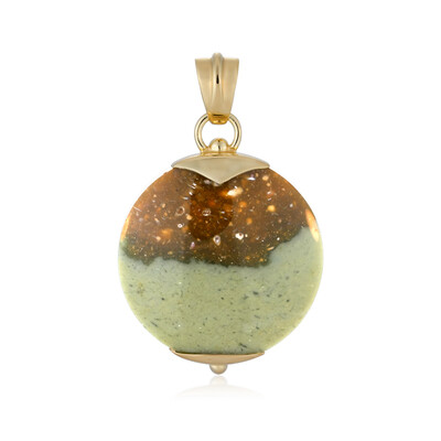 Pendentif en argent et Bois fossilisé (Bali Barong)