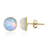 9K Welo Opal Gold Earrings