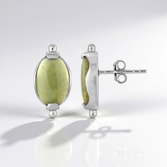 Orecchini in argento con Legno Fossile