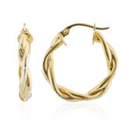 Orecchini in argento