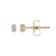 Boucles d'oreilles en or et Diamant IF (G)