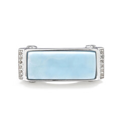 Zilveren ring met een larimar