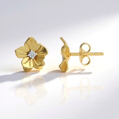 Orecchini in argento con Diamante Cioccolato I2