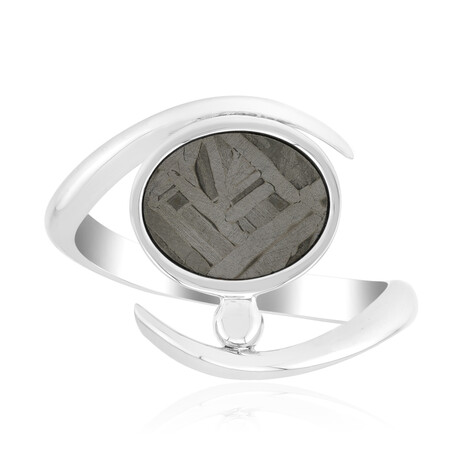 Aletai-Meteorite Silver Ring