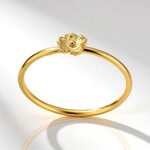 Anello in argento (Joias do Paraíso)