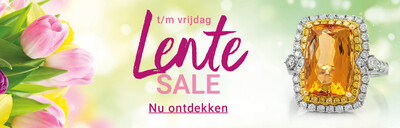 2026-03-lentesale