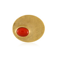 Ciondolo in argento con Onice Rossa