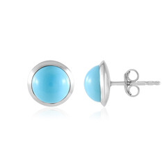 Zilveren oorbellen met Sleeping Beauty Turkooisen (de Melo Essence)
