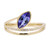 14K AAA Tanzanite Gold Ring (CIRARI)