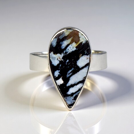 Anello in argento con Legno di Palma Pietrificato
