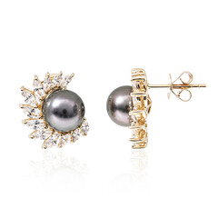 9K Tahitian Pearl Gold Earrings (de Melo)