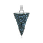 Versteinertes Jambi-Palmenholz-Silberanhänger (Bali Barong)