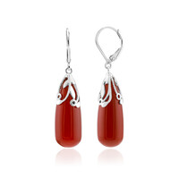 Boucles d'oreilles en argent et Agate rouge