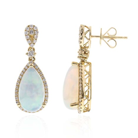 AAA-Welo-Opal-Goldohrringe (CIRARI)