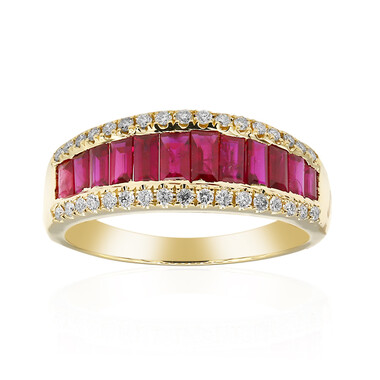 AAA-Mosambik-Rubin-Goldring (CIRARI)