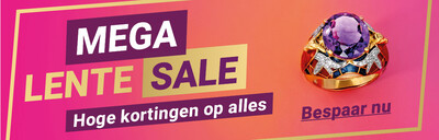 2026-02-megasale2