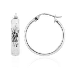 Boucles d'oreilles en argent