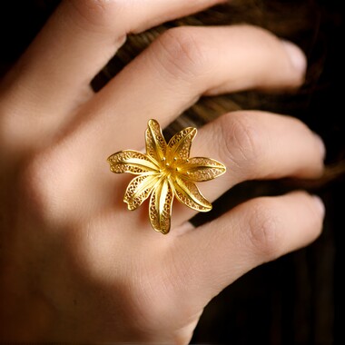 Anillo en plata (Joias do Paraíso)