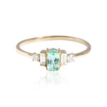 Gouden ring met een Paraiba toermalijn (AMAYANI)