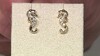 Pendientes en plata con Zircón