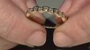 Anillo en oro con Diamante IF (D) (Annette)