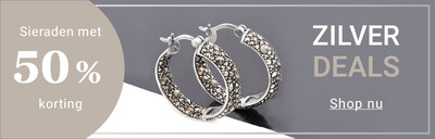 2026-02-zilver50