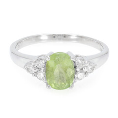 Nigerianischer Paraiba-Turmalin-Goldring