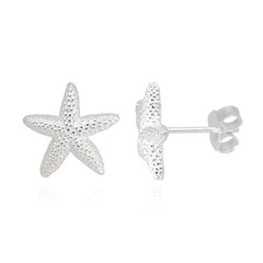 Boucles d'oreilles en argent