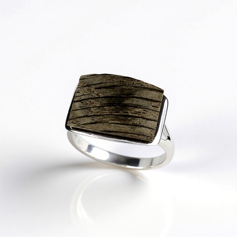 Anello in argento con Quercia Nera (dagen)