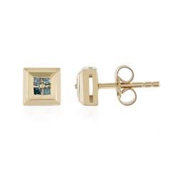 Orecchini in argento con Diamante Blu I3