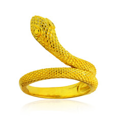 Silberring (Joias do Paraíso)